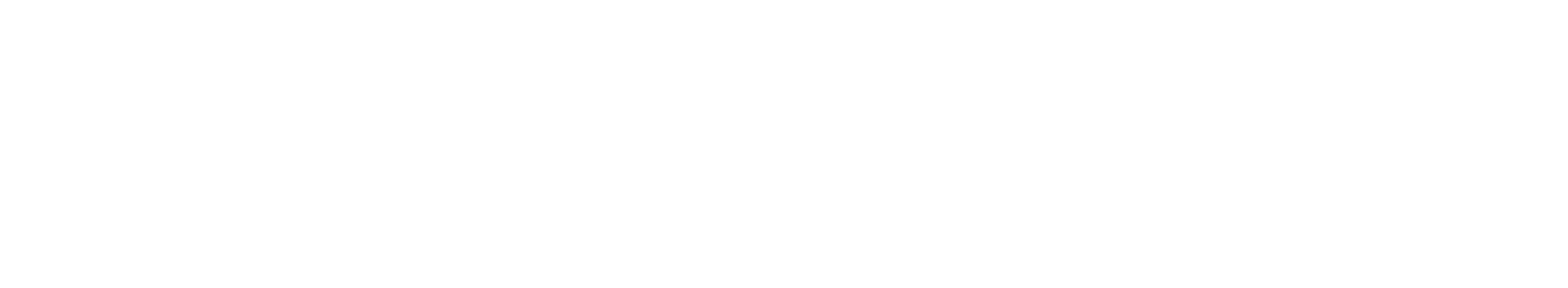 GeoPhysi